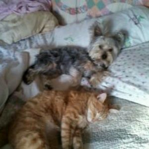 Meet your Posher, Mindy